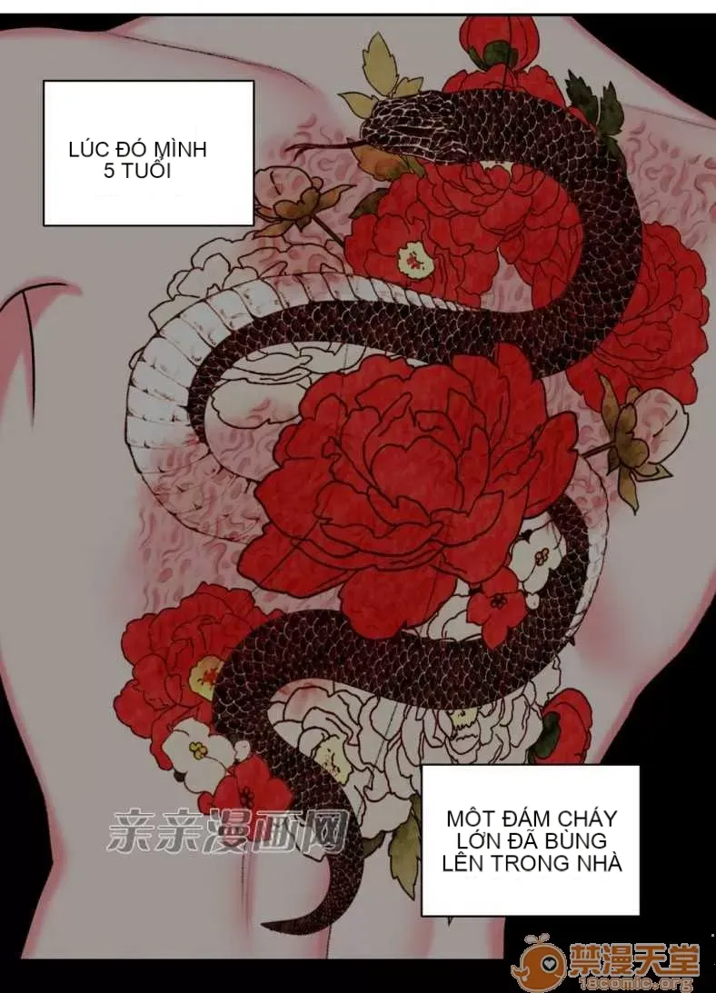 Lilith Chương 1-24