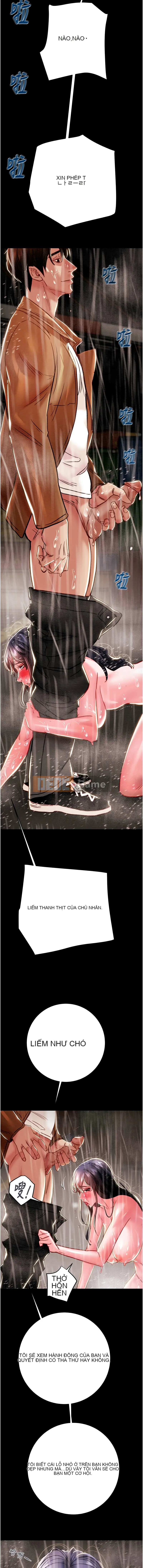 Cướp bóc Chương 47-48