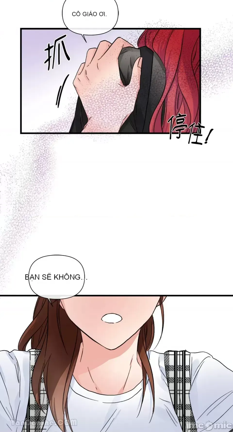 Vương quốc của một người bạn thân Chương 1-24