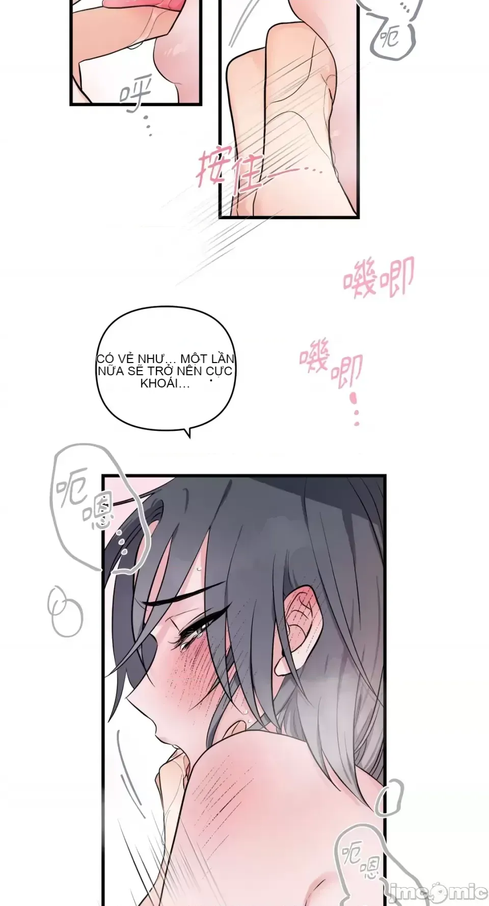 Vương quốc của một người bạn thân Chương 1-24