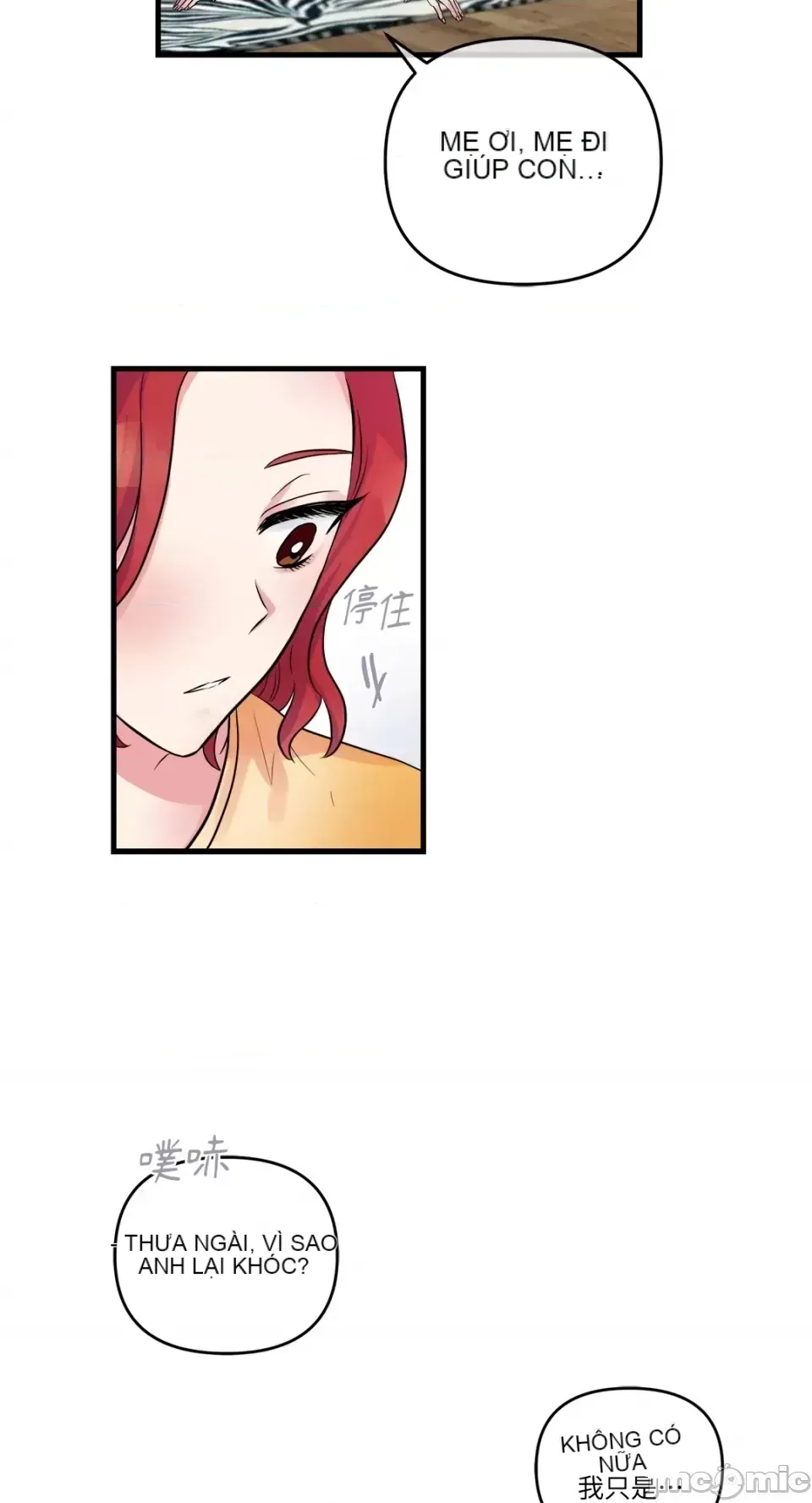 Vương quốc của một người bạn thân Chương 1-24