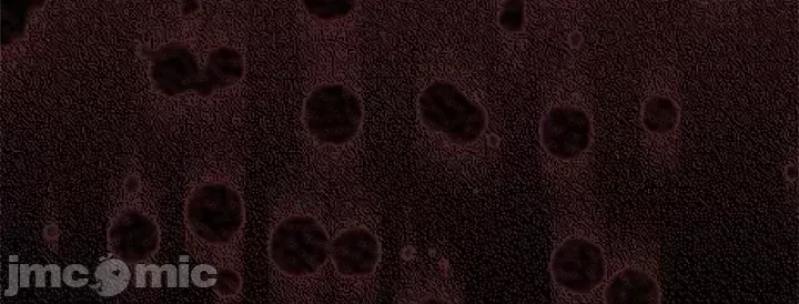 Xã hội thượng lưu ~ Tôi muốn trở thành một nhóm chiến thắng cuộc sống ~ Chương 1-50