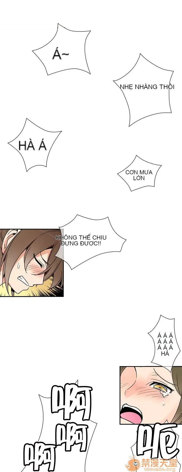 Ngai vàng của chủ sở hữu Chương 1-79