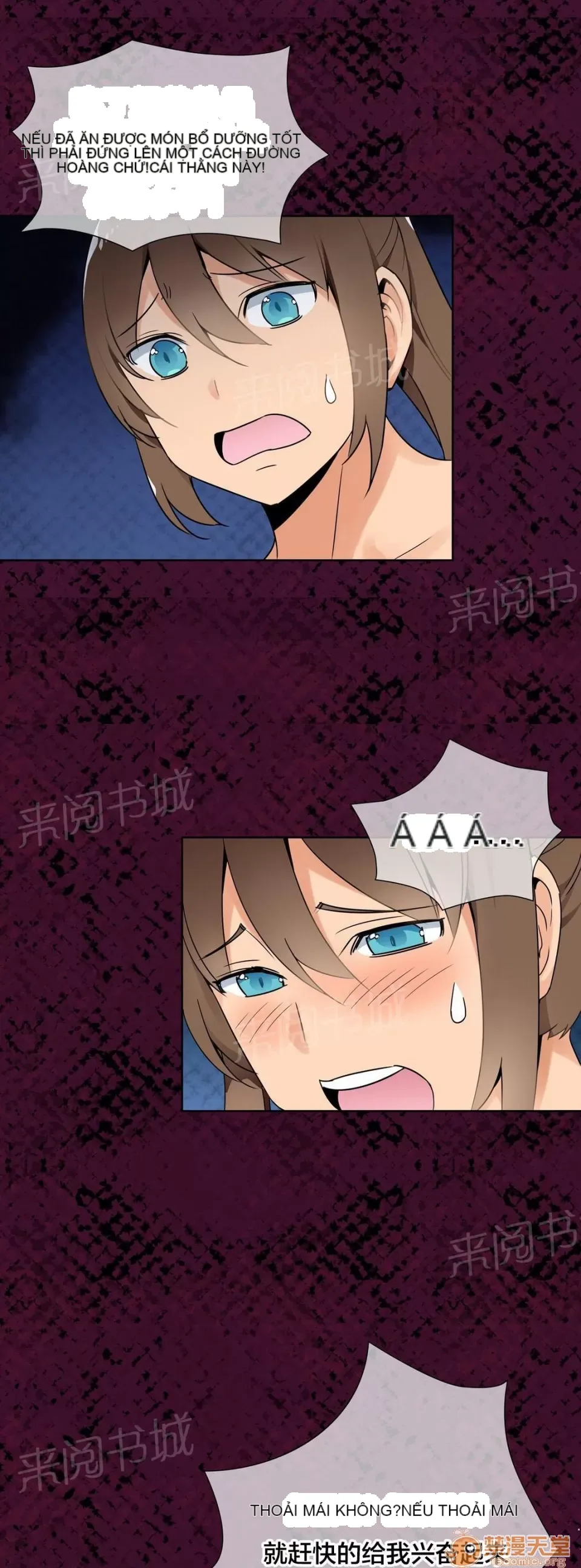 Ngai vàng của chủ sở hữu Chương 1-79