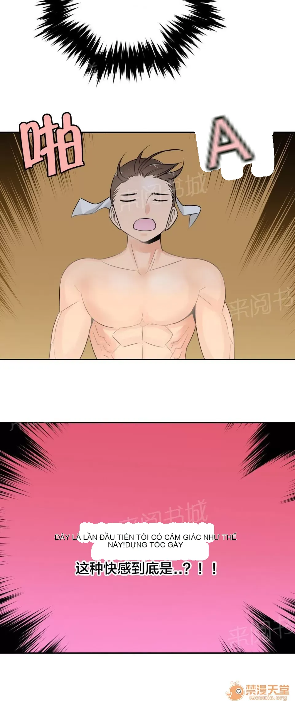 Ngai vàng của chủ sở hữu Chương 1-79