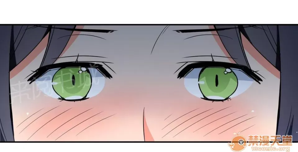 Ngai vàng của chủ sở hữu Chương 1-79