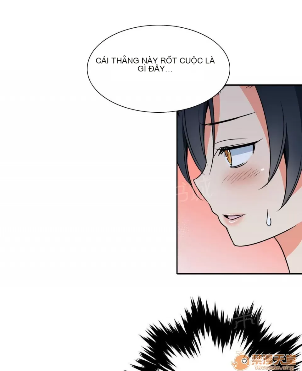 Ngai vàng của chủ sở hữu Chương 1-79