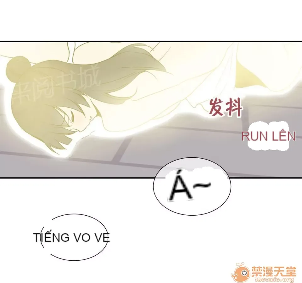 Ngai vàng của chủ sở hữu Chương 1-79