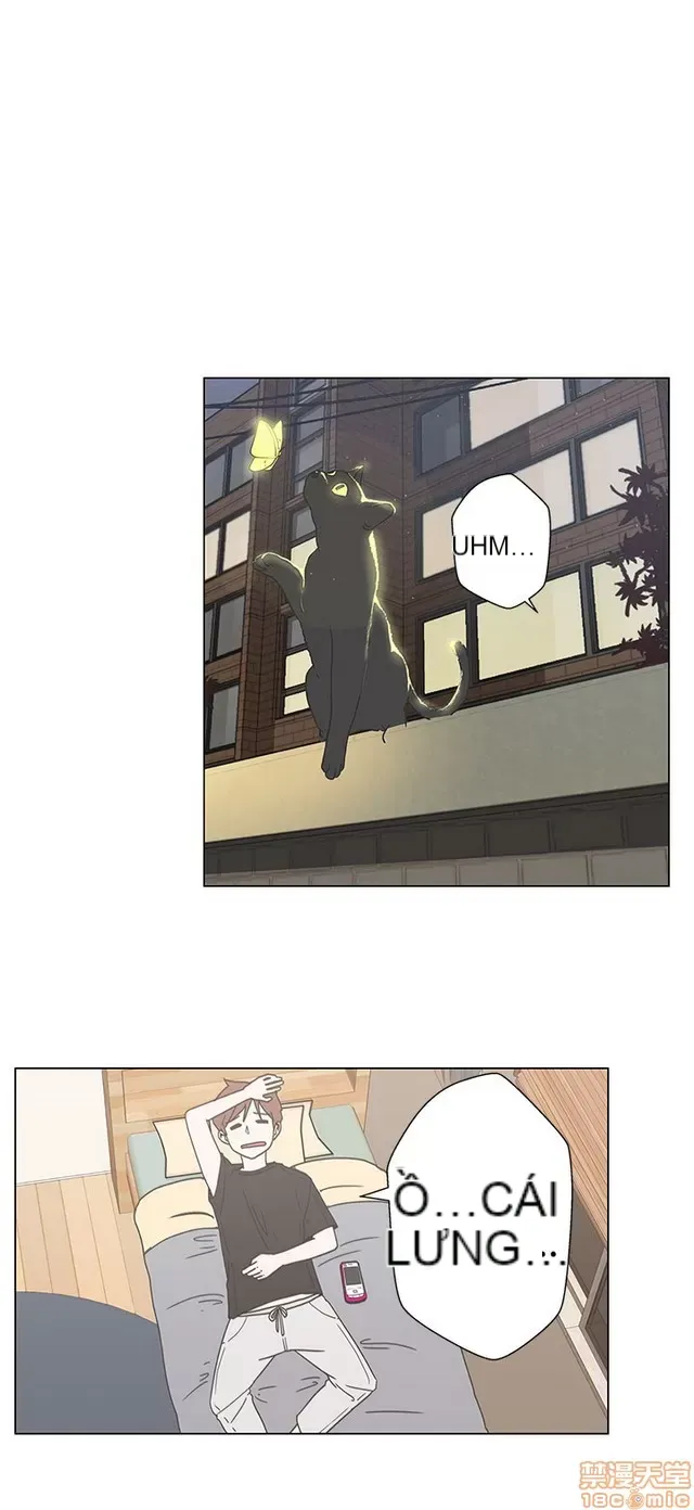 Tình yêu điều hướng tình yêu g /không di động Chương 1-54