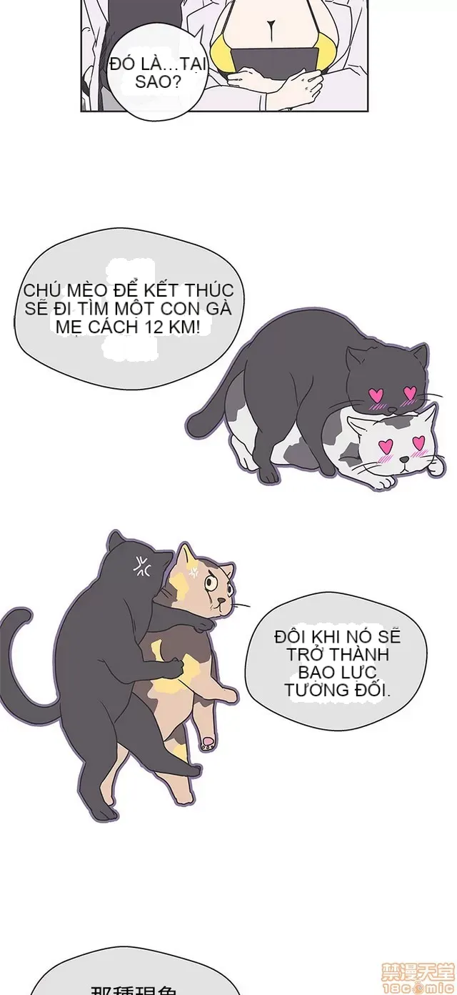 Tình yêu điều hướng tình yêu g /không di động Chương 1-54