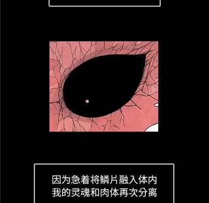 Truyền thuyết về Thiên Chúa quỷ Chương 1-58