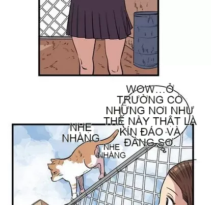 Những người bạn xấu Chương 1-37