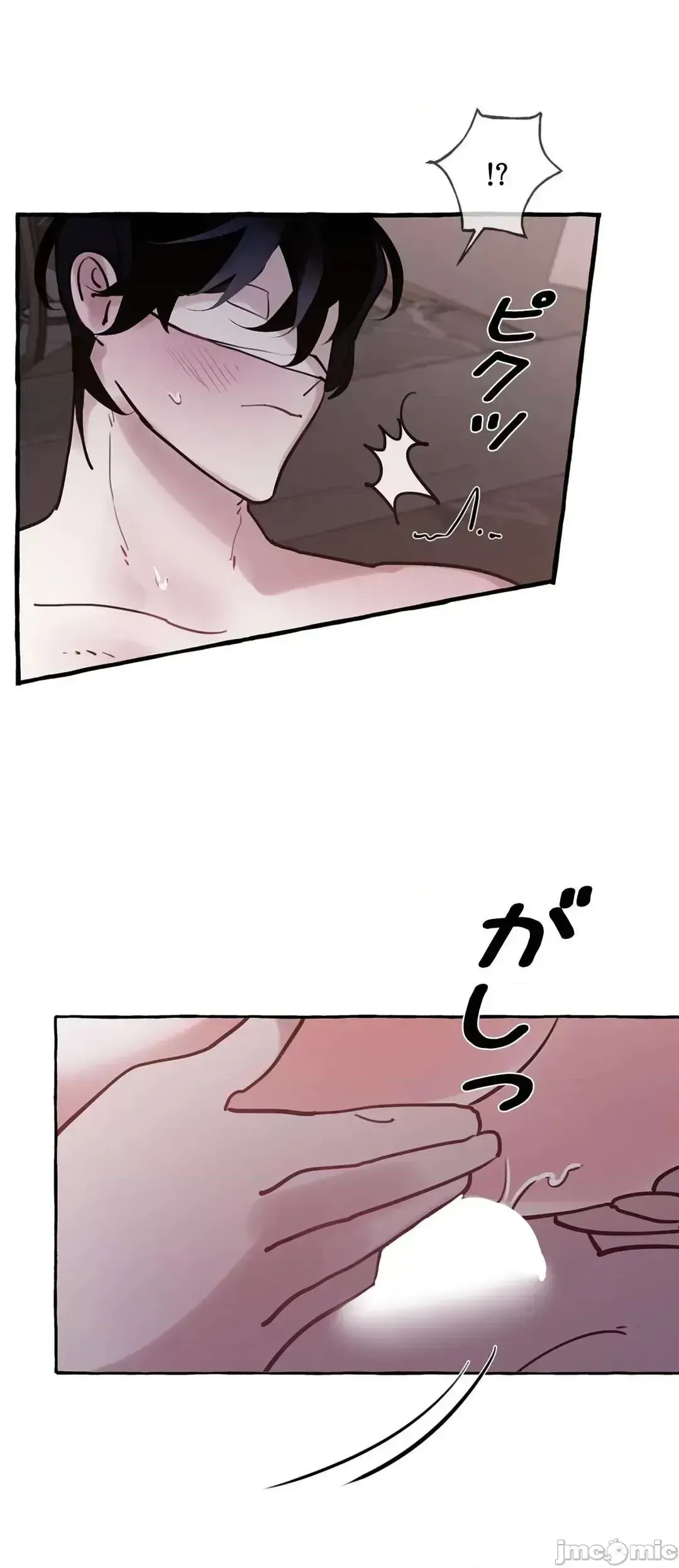 Lời mời dâm dục của Nữ công tước/Nữ công tước Bohemian Chương 1-55