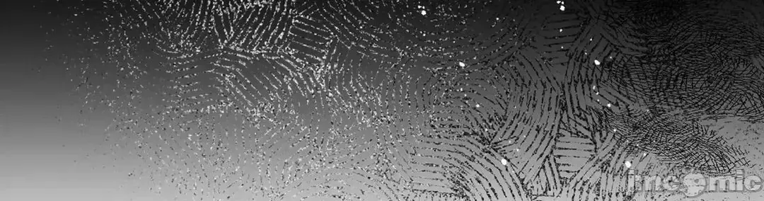 Lời mời dâm dục của Nữ công tước/Nữ công tước Bohemian Chương 1-55