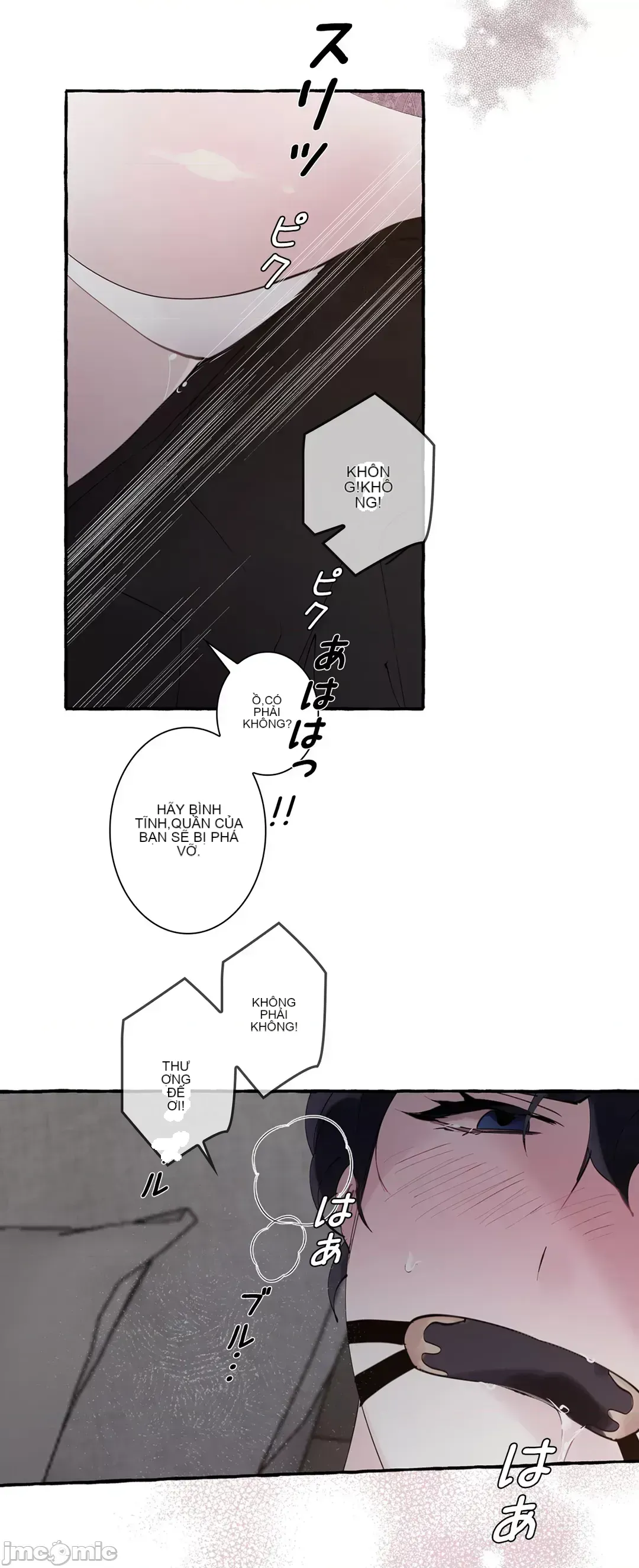 Lời mời dâm dục của Nữ công tước/Nữ công tước Bohemian Chương 1-55