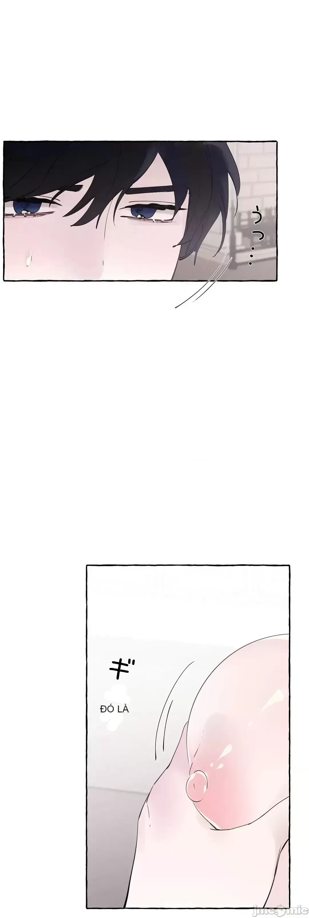 Lời mời dâm dục của Nữ công tước/Nữ công tước Bohemian Chương 1-55