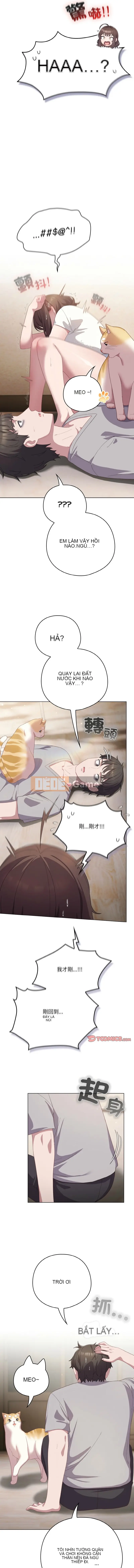 Tình yêu của Mow Chương 12-13