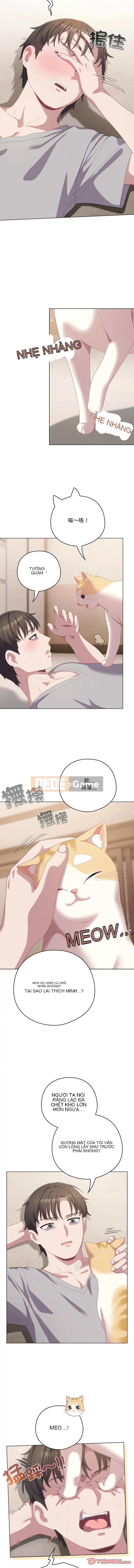 Tình yêu của Mow Chương 18-19