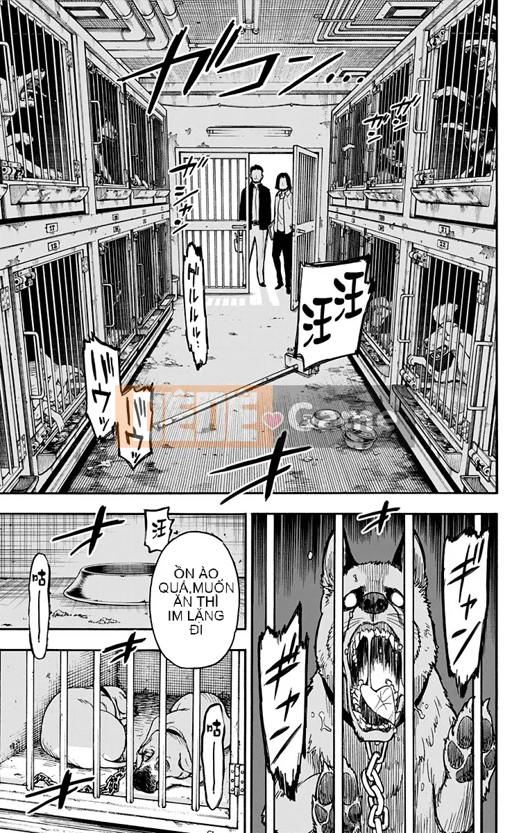 Gián điệp chơi nhà Chương 017