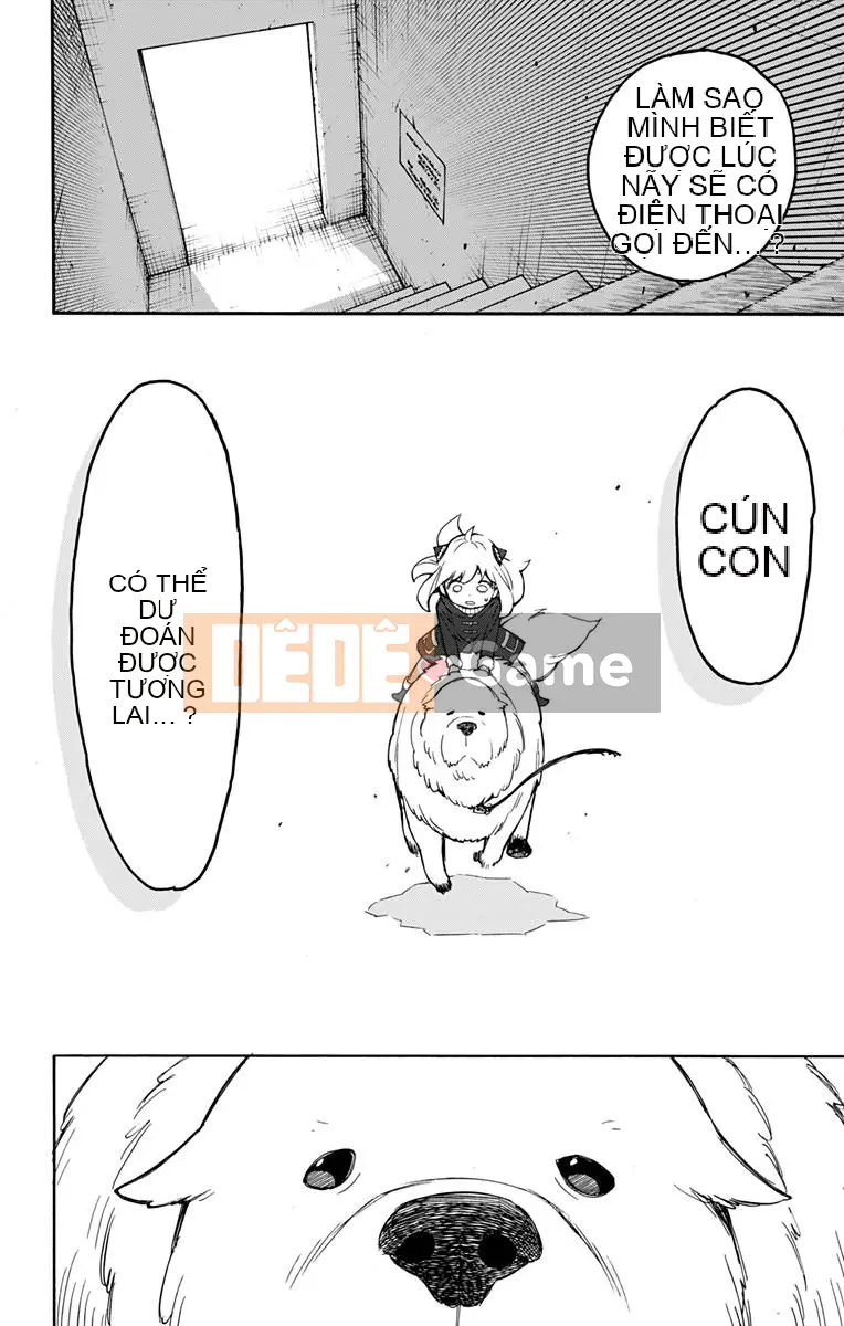 Gián điệp chơi nhà Chương 019