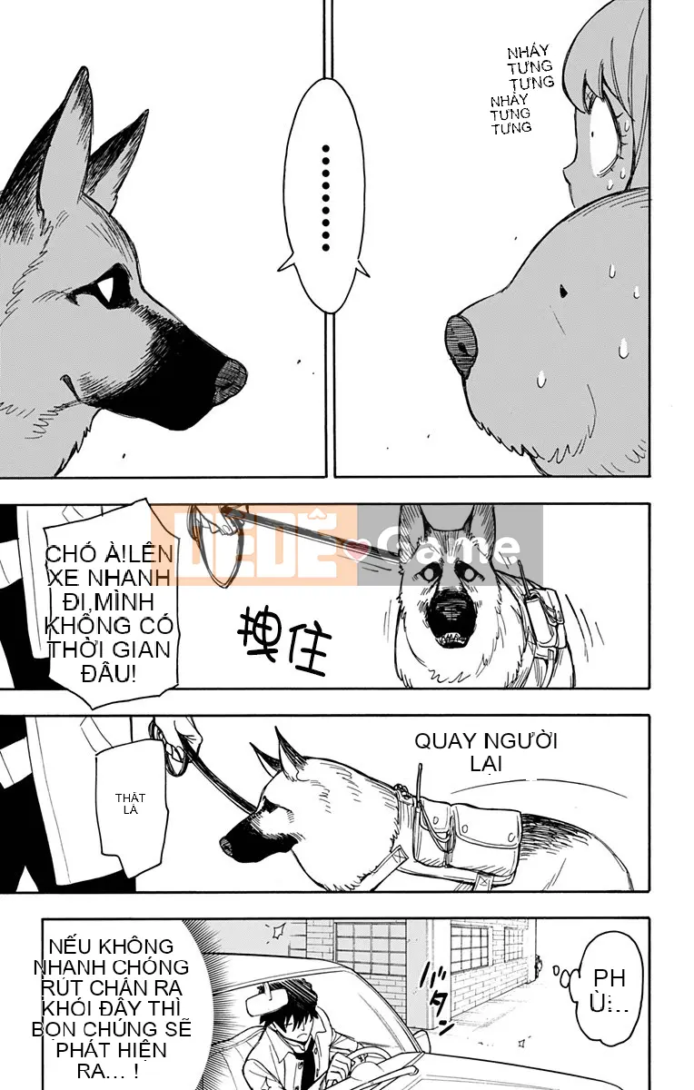 Gián điệp chơi nhà Chương 021