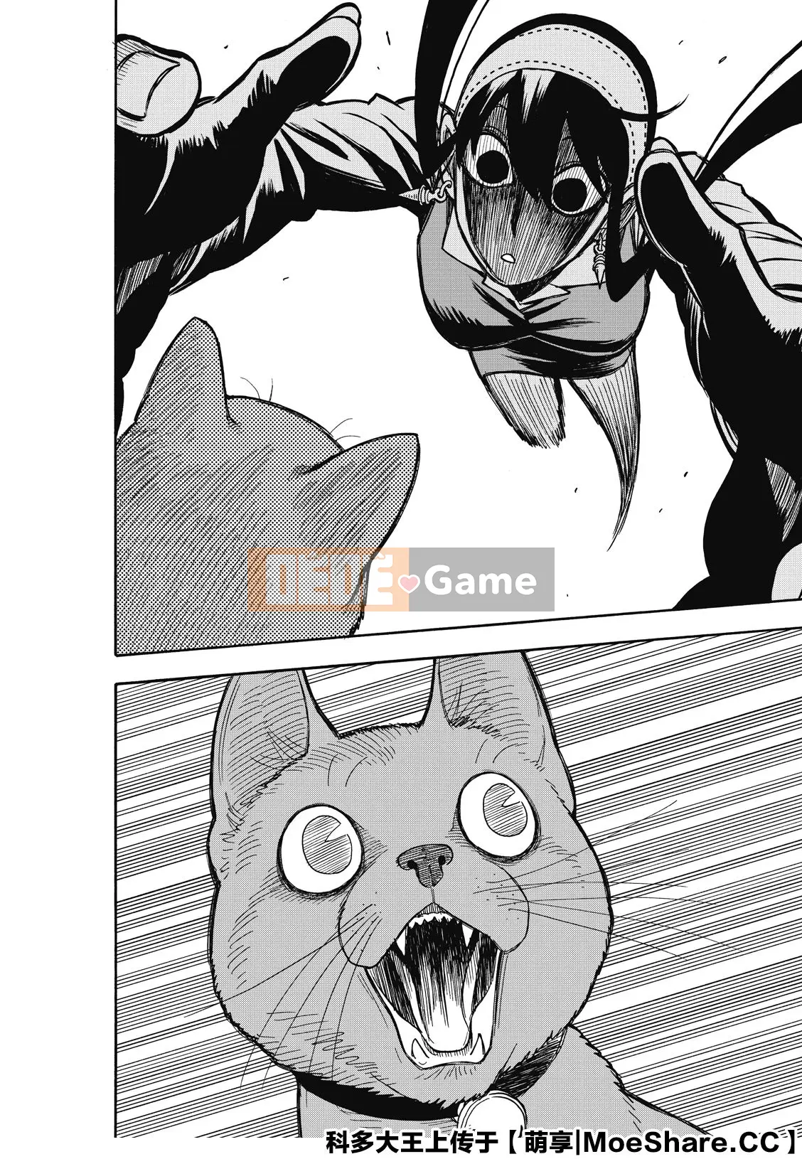 Gián điệp chơi nhà Chương 043