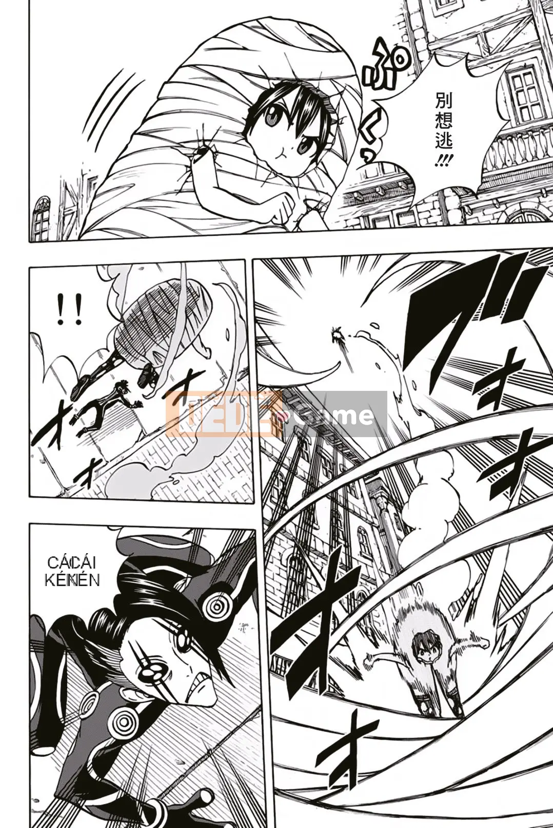 Sứ mệnh trăm năm Fairy Tail Chương 042