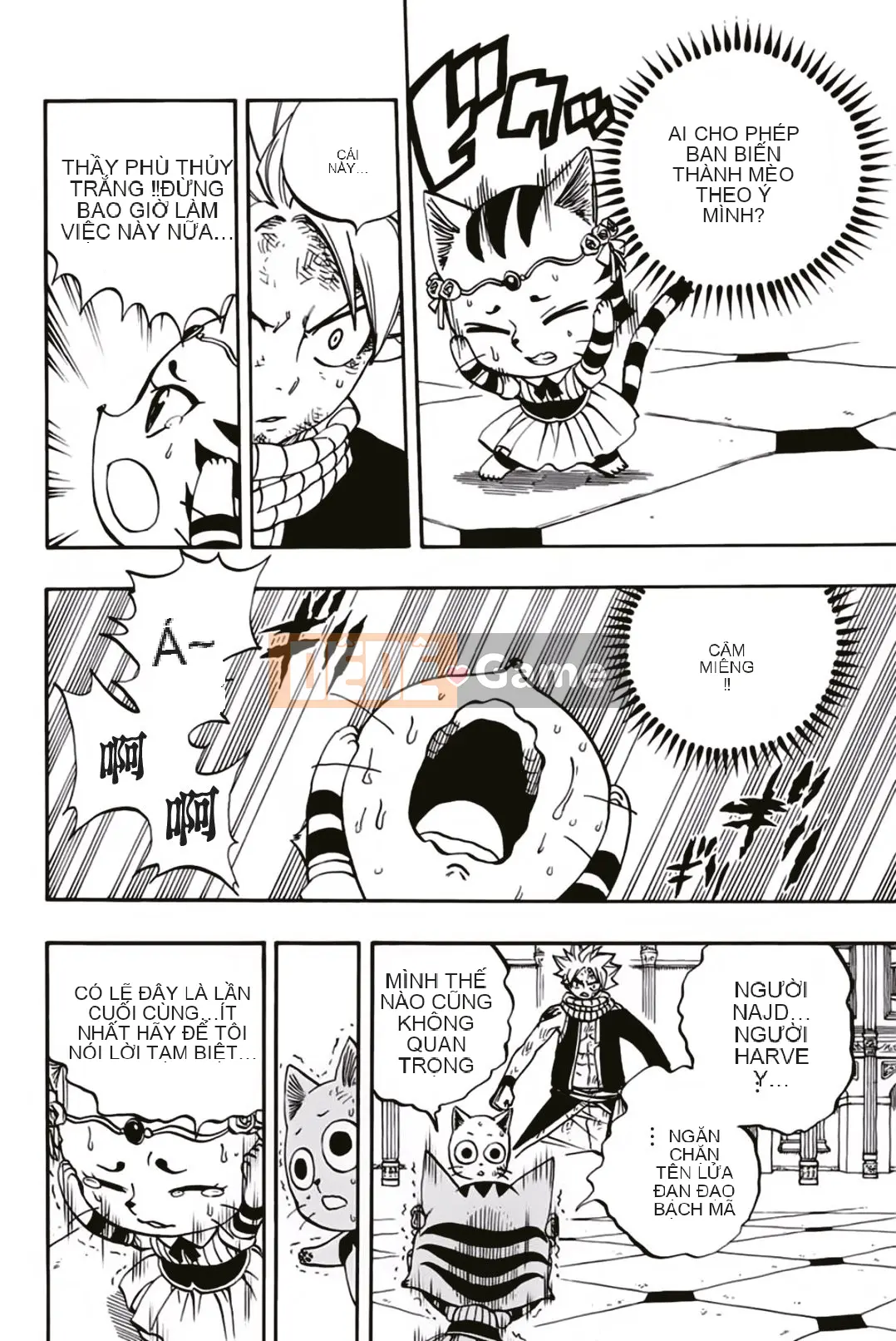 Sứ mệnh trăm năm Fairy Tail Chương 045