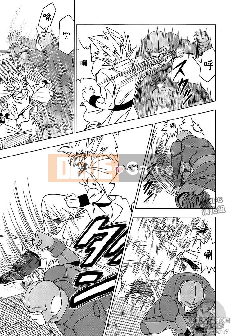 Dragon Ball Super Chương 013