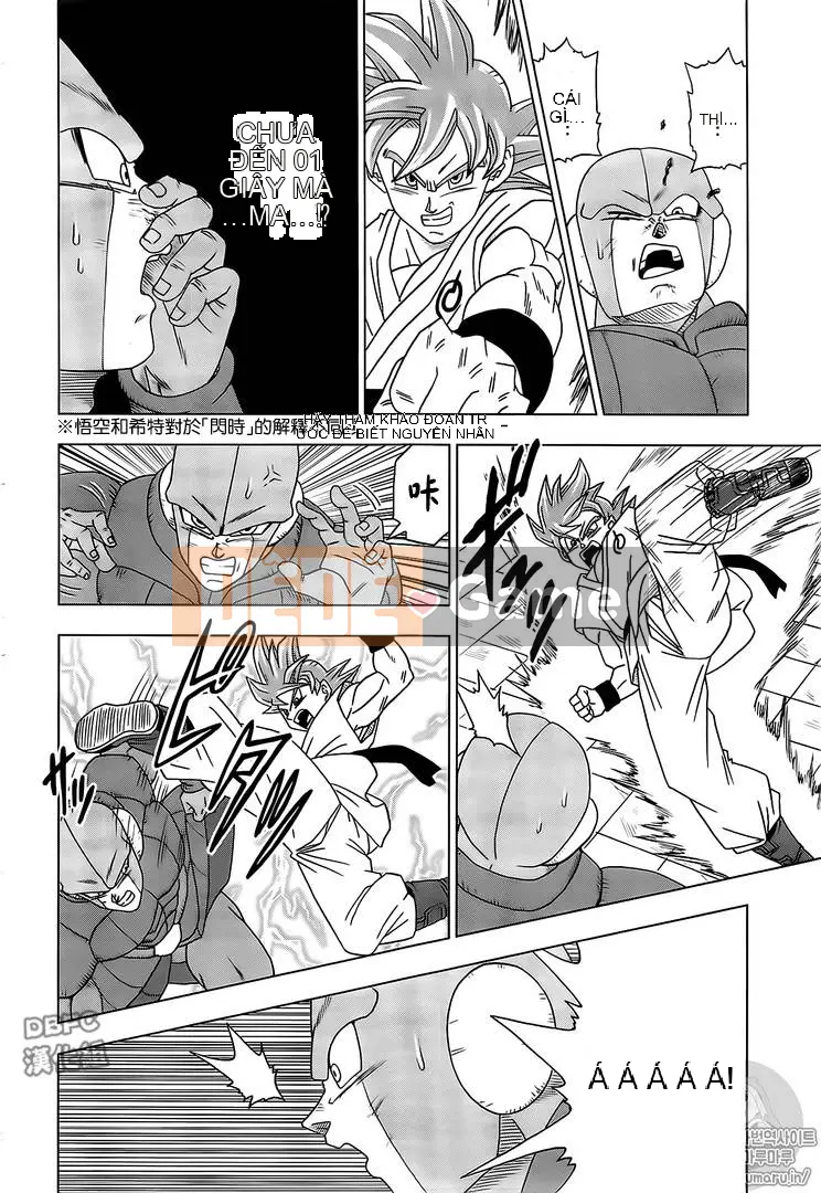 Dragon Ball Super Chương 013