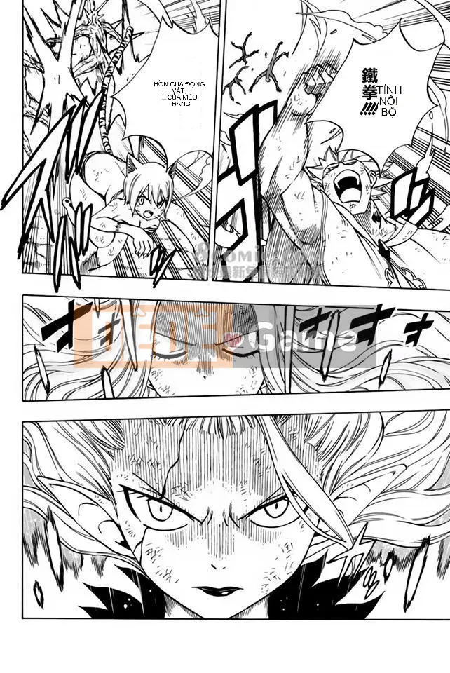 Sứ mệnh trăm năm Fairy Tail Chương 053