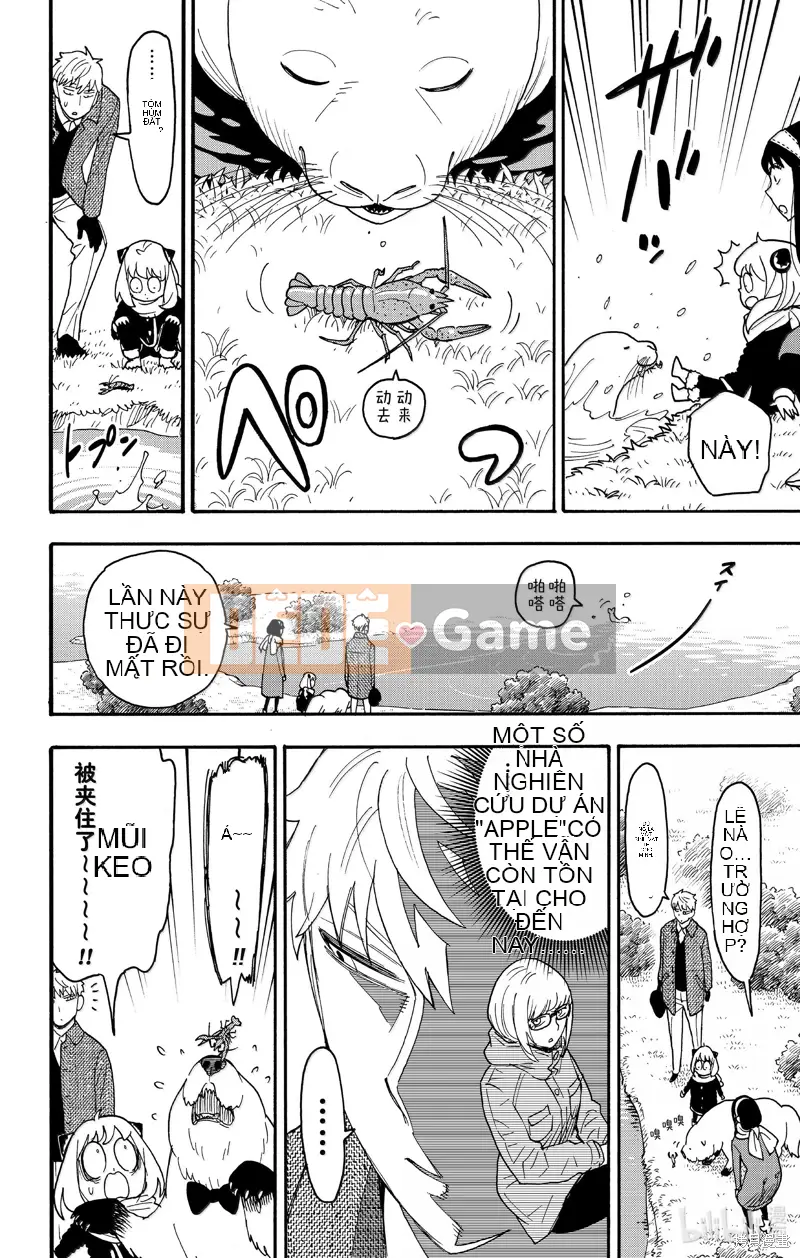 Gián điệp chơi nhà Chương 103