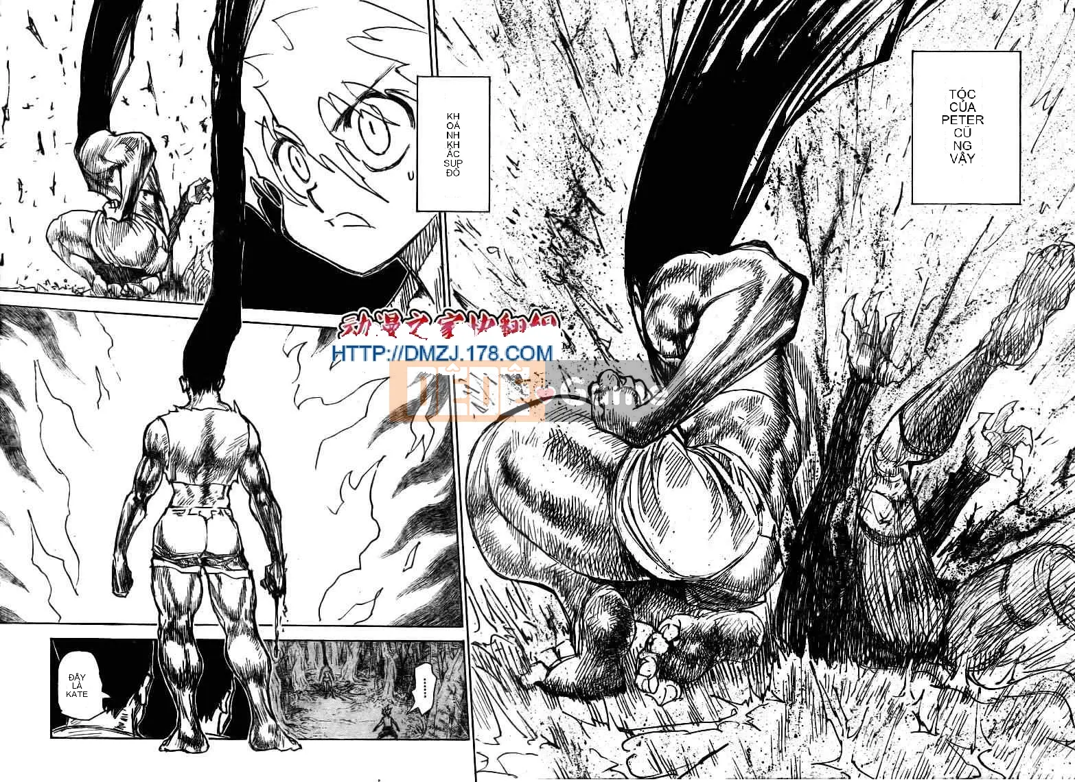 Thợ săn toàn thời gian Chương 307