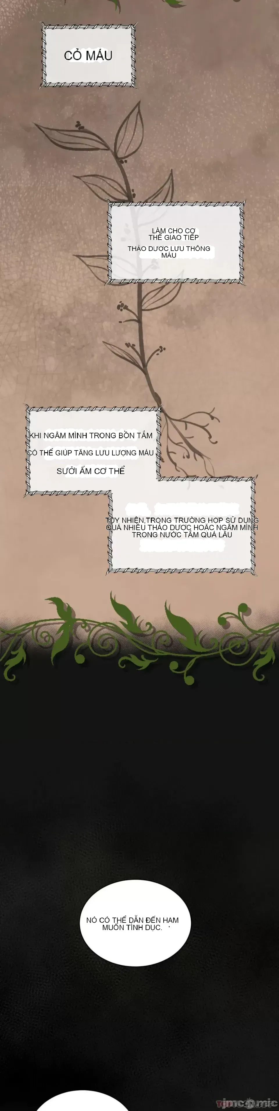 Cuộc nói chuyện thảo dược Chương 1-80