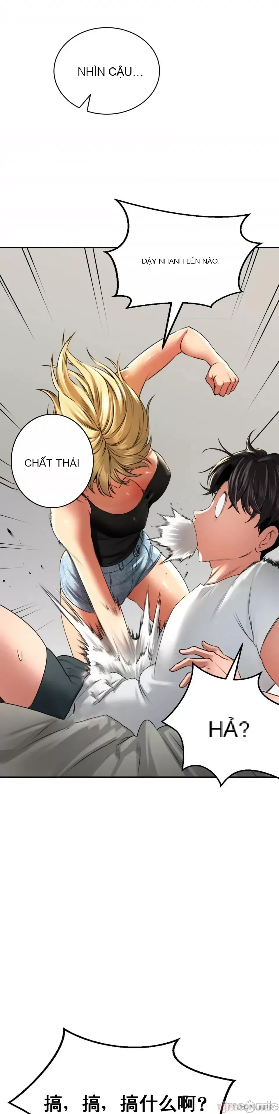 Cuộc nói chuyện thảo dược Chương 1-80