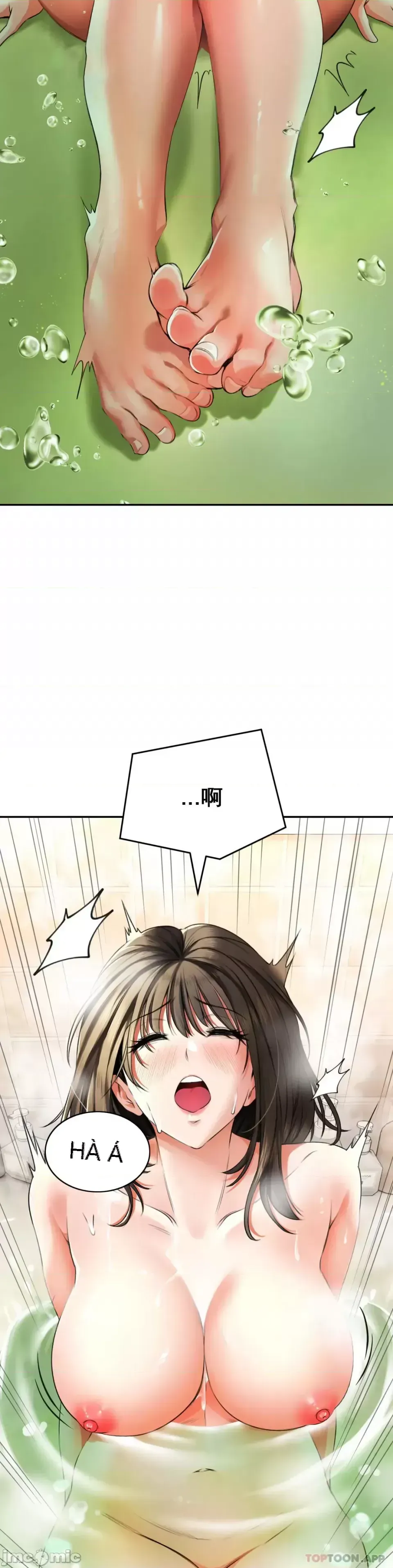 Cuộc nói chuyện thảo dược Chương 1-80