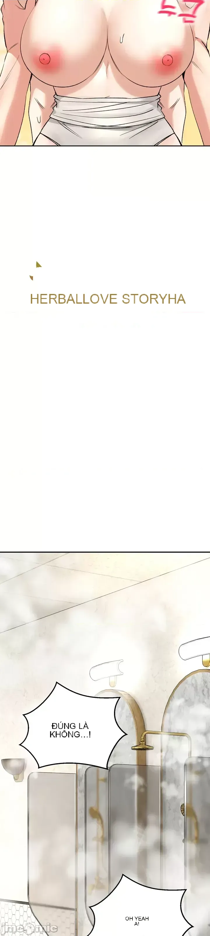 Cuộc nói chuyện thảo dược Chương 1-80