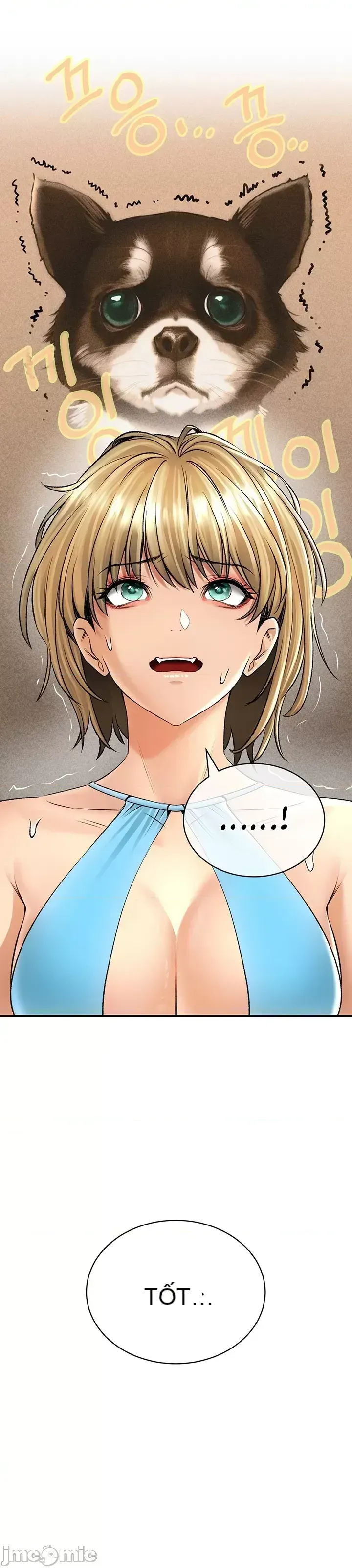 Cuộc nói chuyện thảo dược Chương 1-80