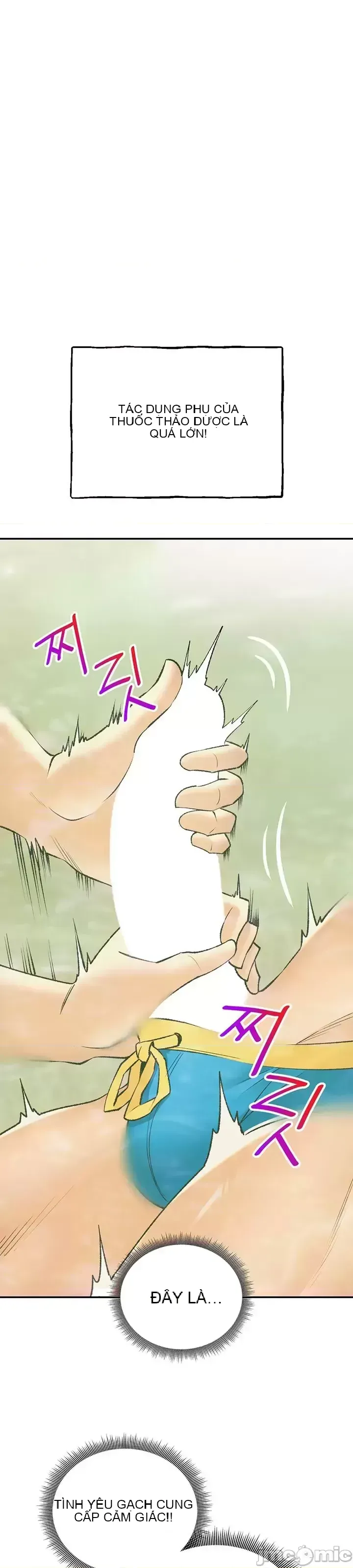 Cuộc nói chuyện thảo dược Chương 1-80