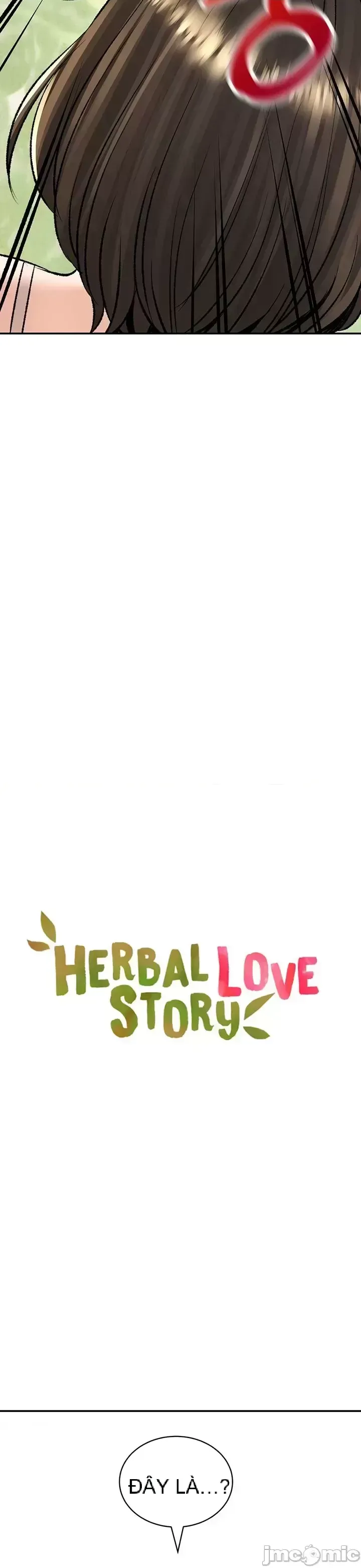 Cuộc nói chuyện thảo dược Chương 1-80