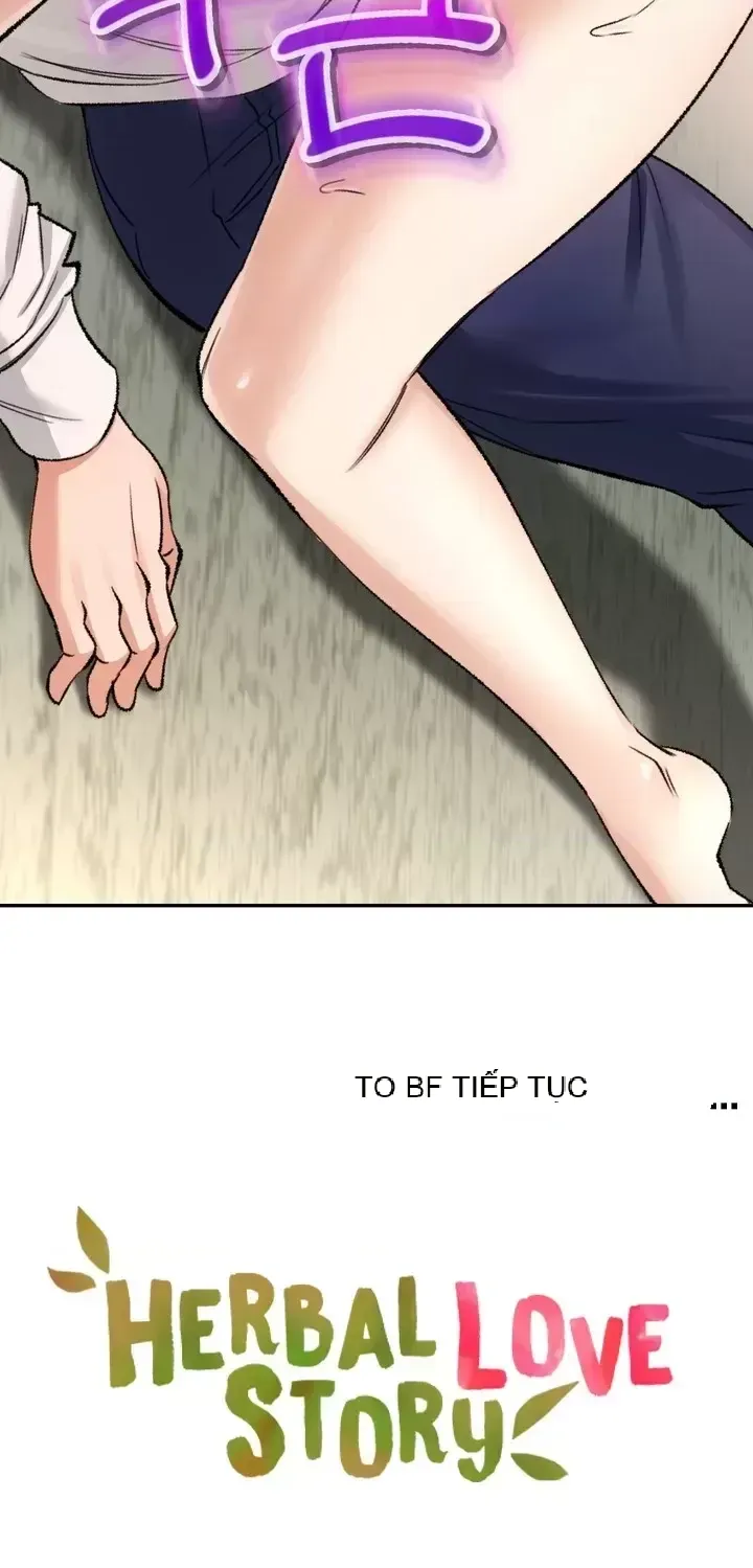 Cuộc nói chuyện thảo dược Chương 1-80