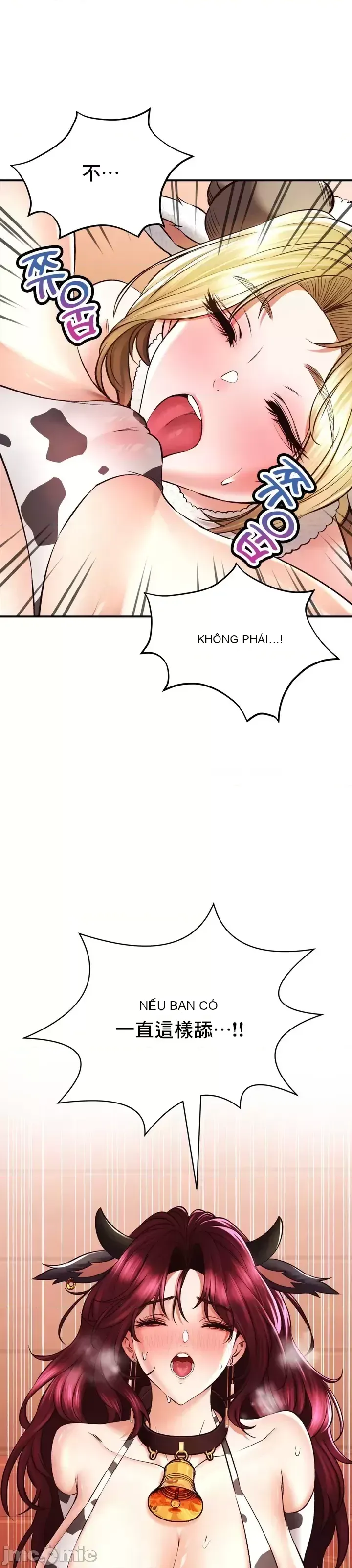 Cuộc nói chuyện thảo dược Chương 1-80