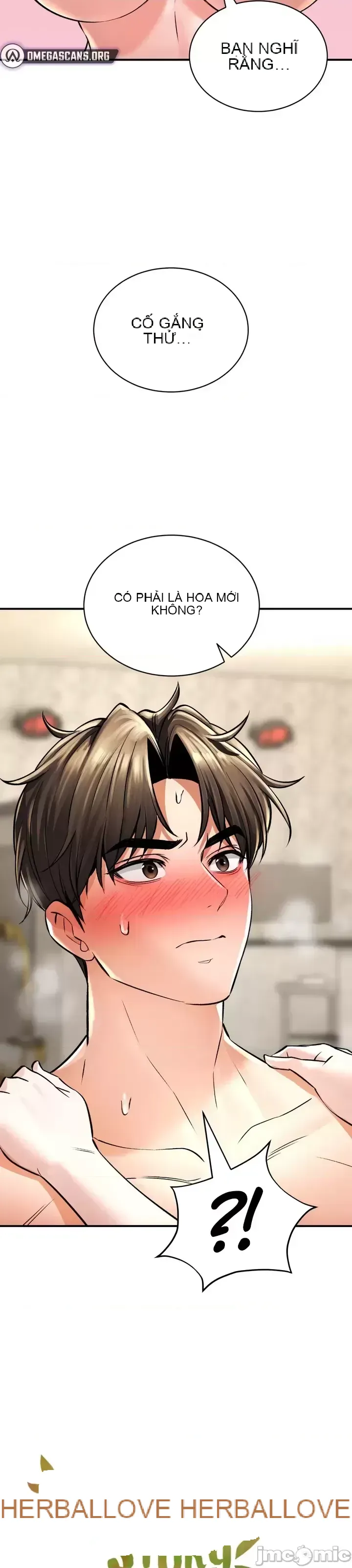 Cuộc nói chuyện thảo dược Chương 1-80