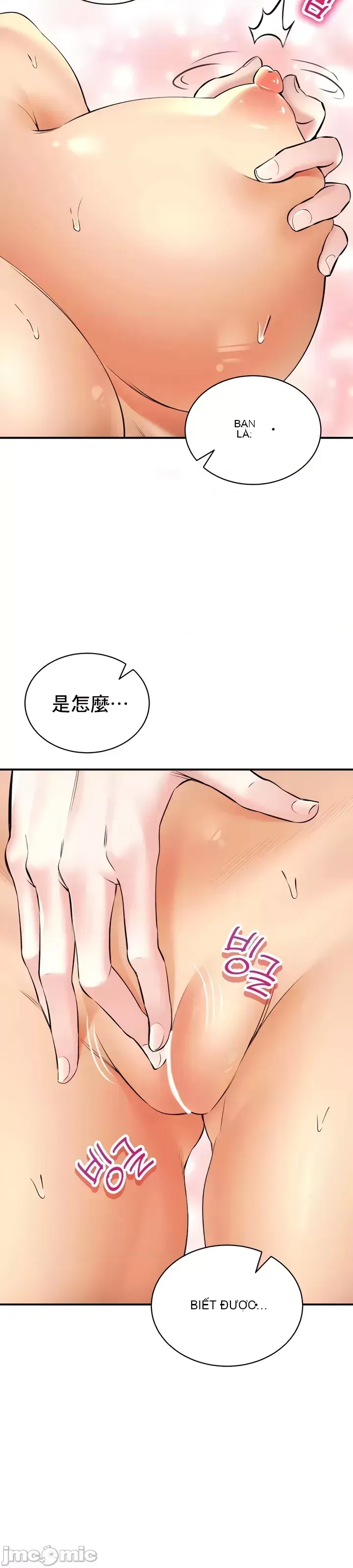 Cuộc nói chuyện thảo dược Chương 1-80