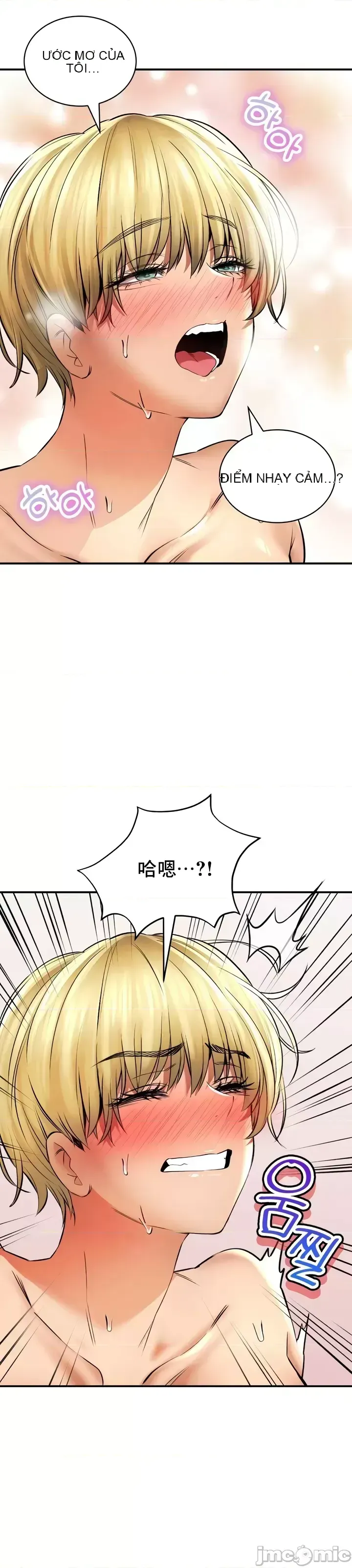 Cuộc nói chuyện thảo dược Chương 1-80