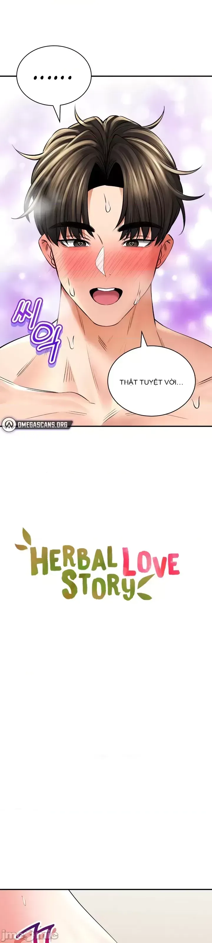 Cuộc nói chuyện thảo dược Chương 1-80