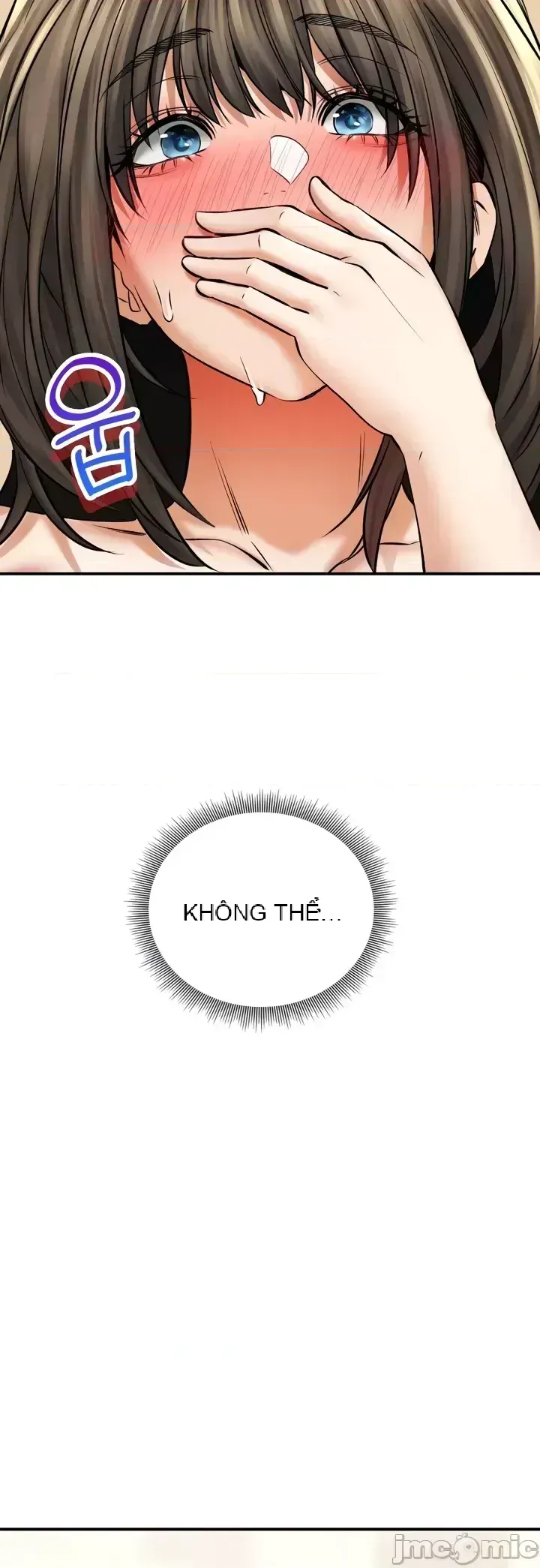 Cuộc nói chuyện thảo dược Chương 1-80