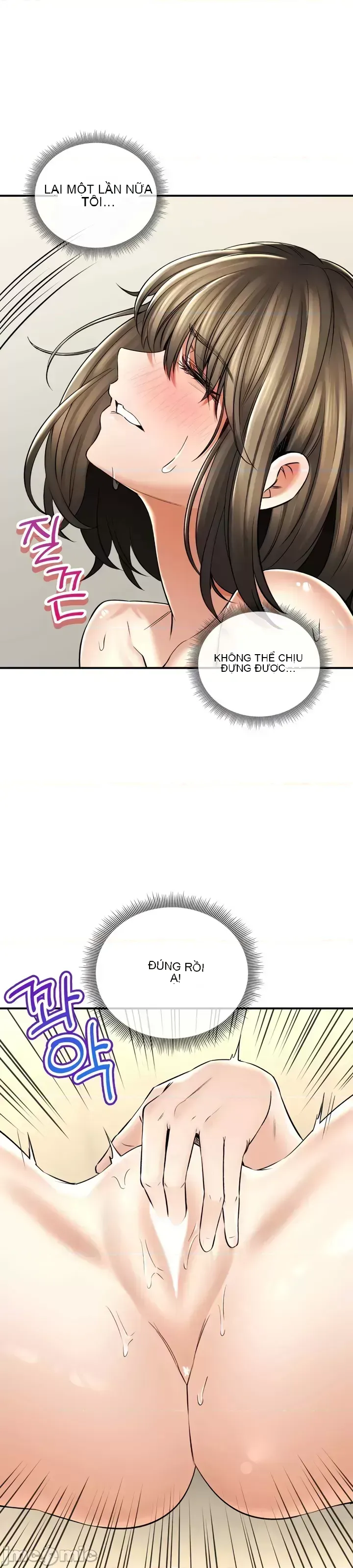 Cuộc nói chuyện thảo dược Chương 1-80