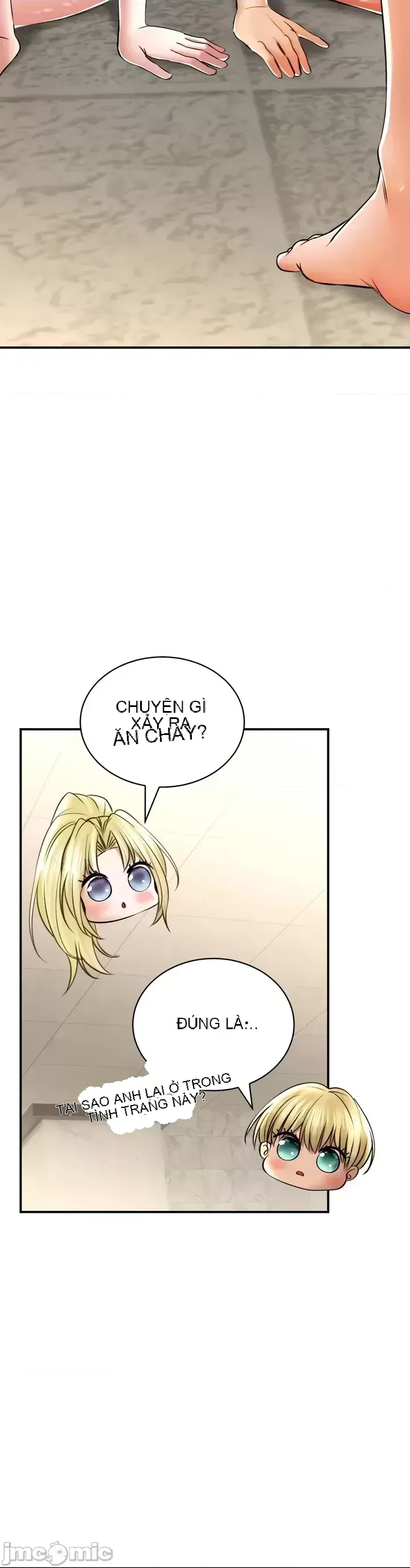 Cuộc nói chuyện thảo dược Chương 1-80