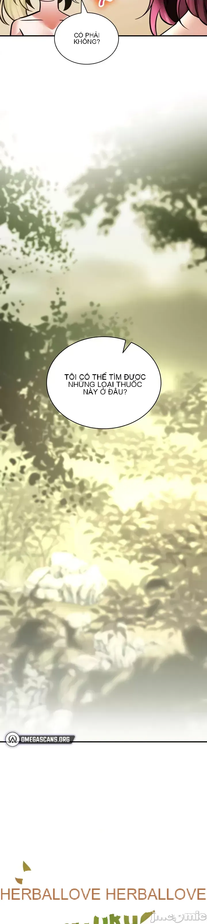 Cuộc nói chuyện thảo dược Chương 1-80